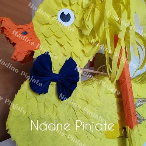 Pinjata patkica - Nadine Pinjate