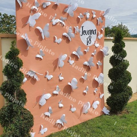 Dekoracija Vencanja i Rodjendanskih Proslava