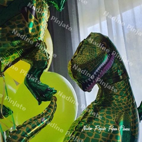 Baloni Dinosaurusi - Nadine Pinjate
