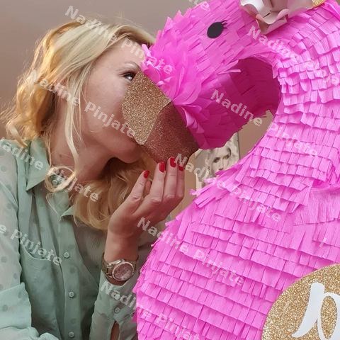 Nadine Pinjate - Pinjata Flamingo