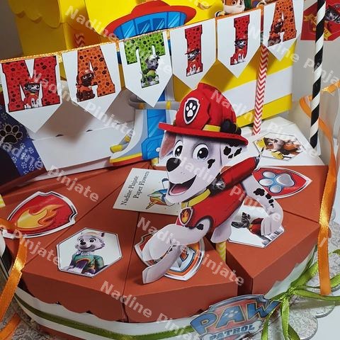 Paw Patrol Nadine Pinjate