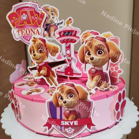 Torta od kartona Skye Patrolne Sape -Nadine Pinjate