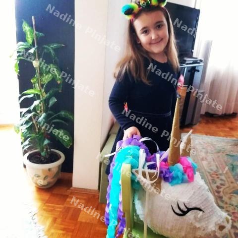 Unicorn Pinjata