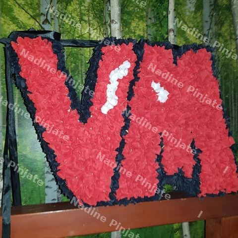 Pinjata Logo Vase Firme