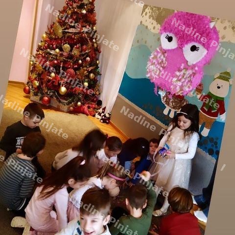 Pinjata Owl Sova