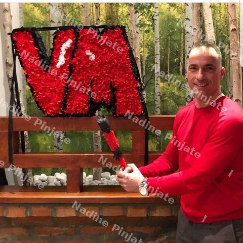 Pinjata Logo Vase Firme
